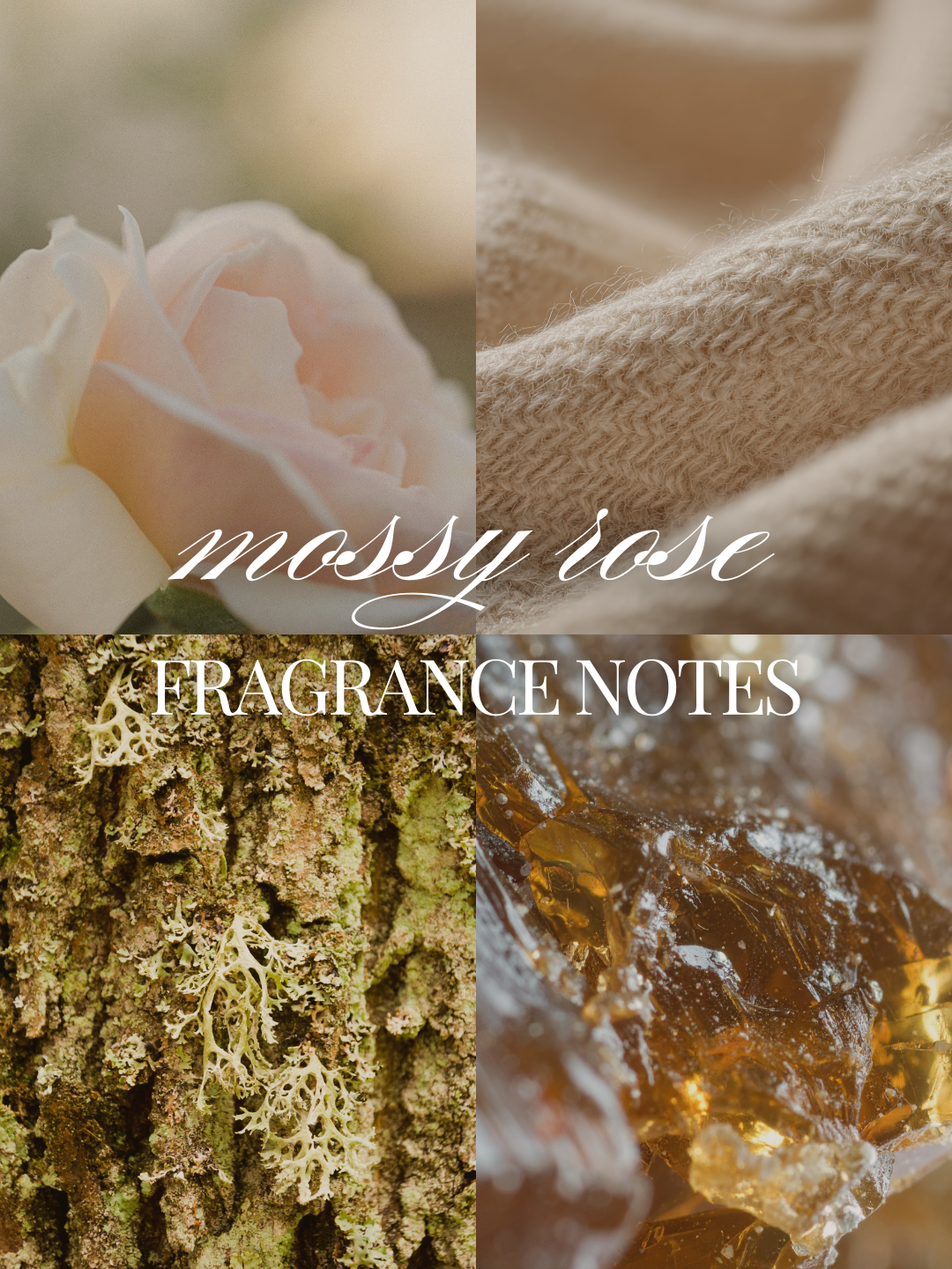 A four-panel fragrance note graphic labeled 'mossy rose FRAGRANCE NOTES,' showing a pale pink rose, beige knit fabric, textured mossy bark with pale lichen, and amber resin.
