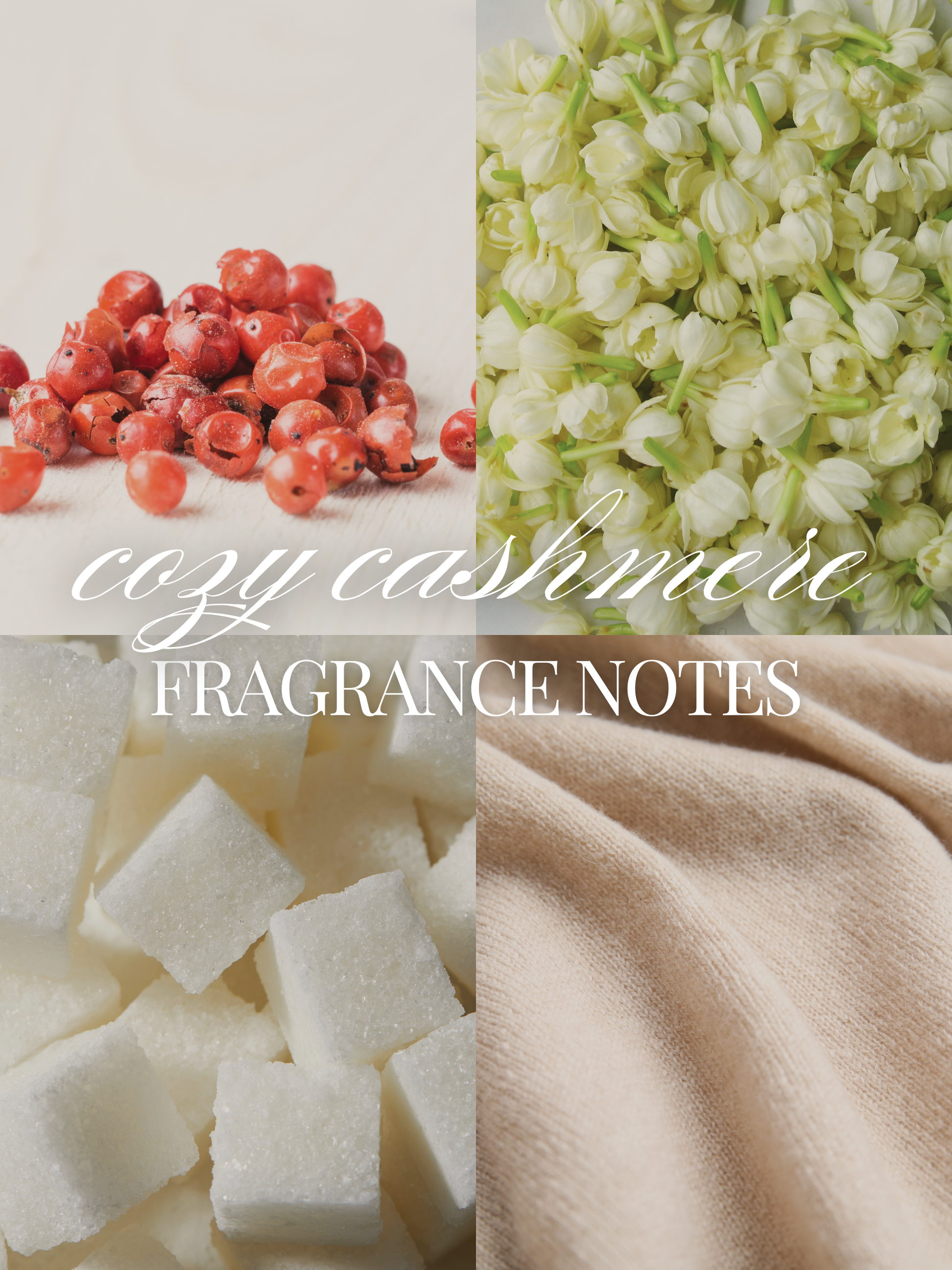 A four-panel collage representing the fragrance notes of 'Cozy Cashmere'. The top-left panel shows pink pepper on a light background, the top-right shows white jasmine flowers, the bottom-left shows white sugar cubes, and the bottom-right shows a soft beige knit fabric.