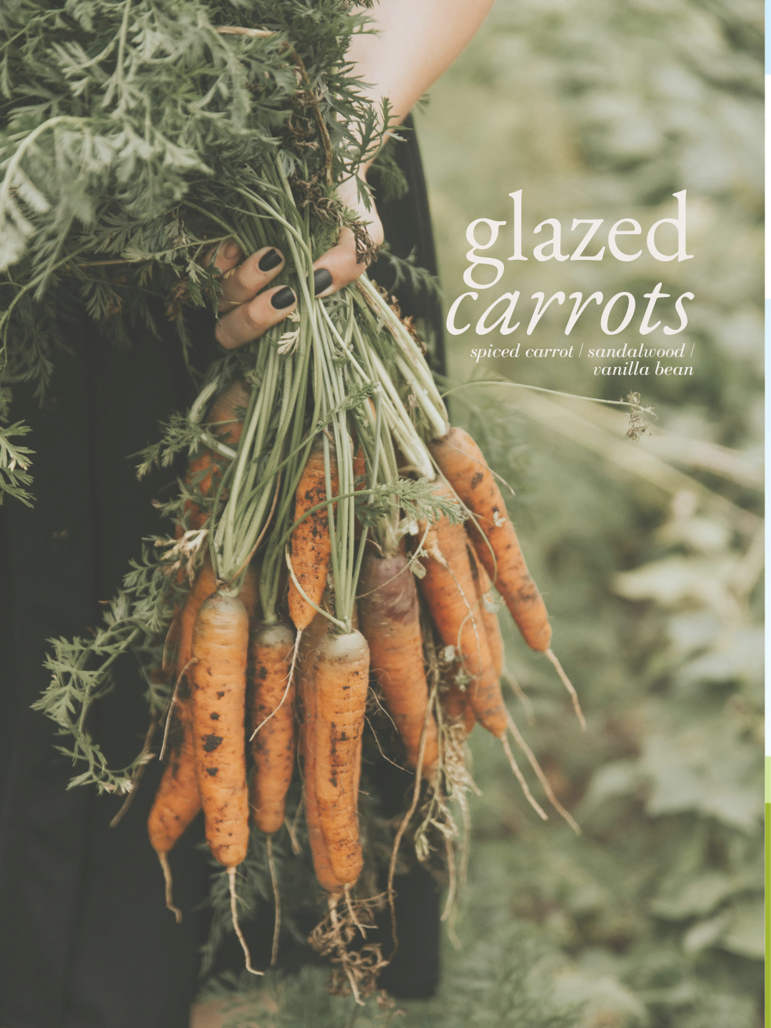 Glazed Carrots Body Oil - porter + rose