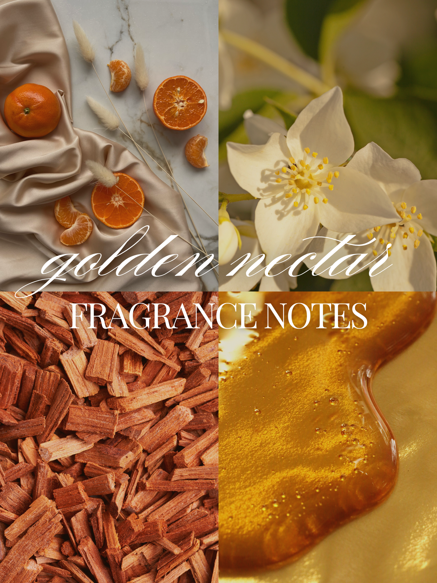 A four-panel fragrance concept graphic labeled 'golden nectar FRAGRANCE NOTES' with orange citrus slices, jasmine blossoms, sandalwood chips, and a glossy golden amber pool on a gold surface.