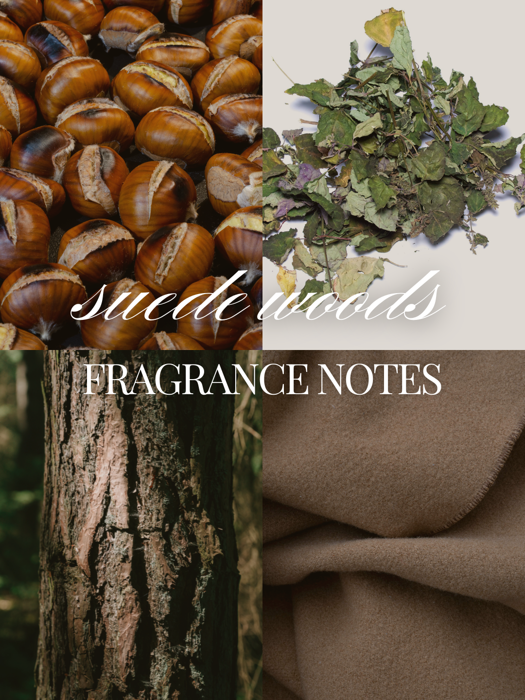 A fragrance notes collage labeled 'suede woods' showing brown chestnuts, dried green leaves, a tree trunk, and a taupe-brown fabric swatch, with the text 'FRAGRANCE NOTES' across the center.