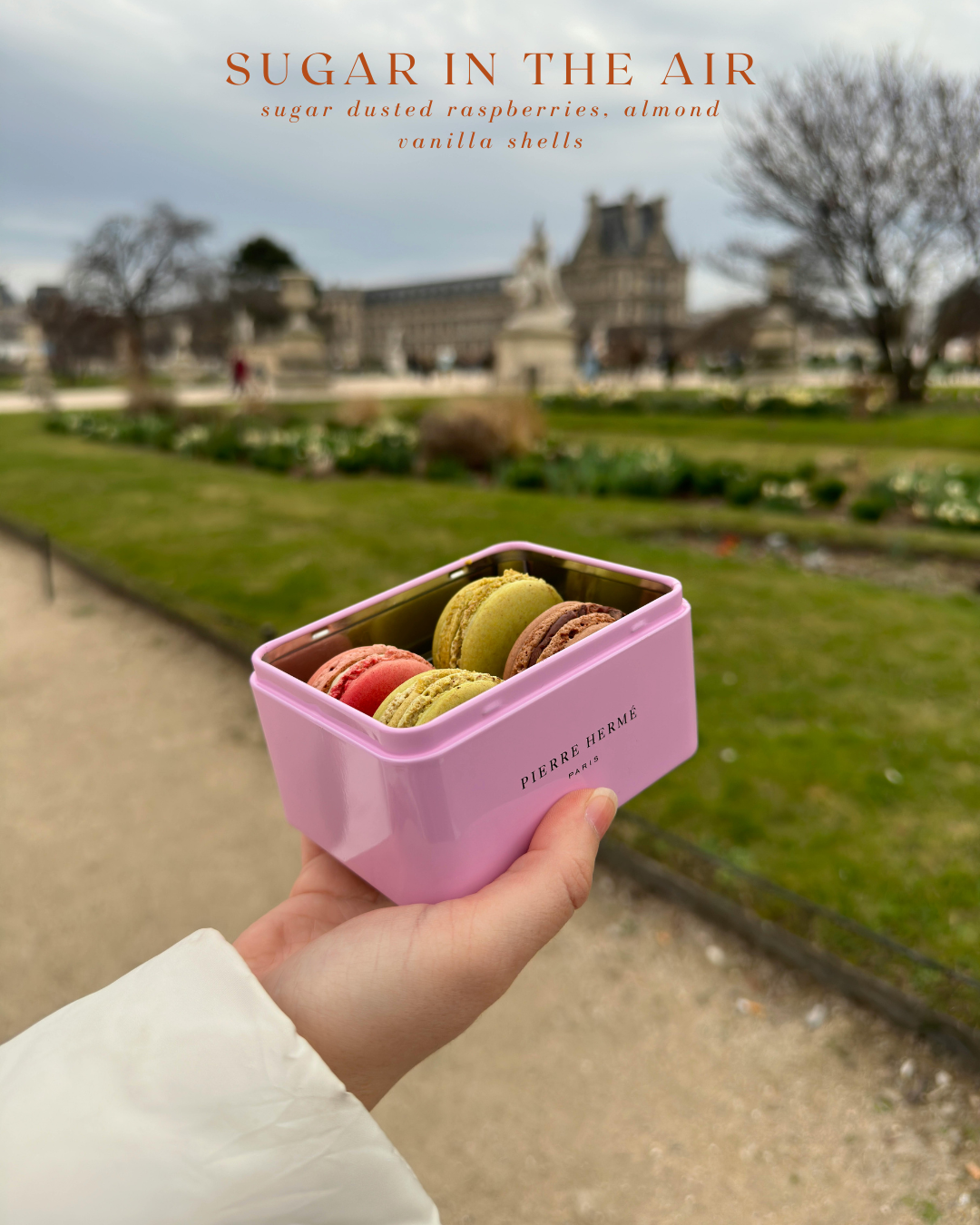 Pink container with colorful macarons held by a hand in a park setting